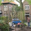 Heemstede Liquidambars planten